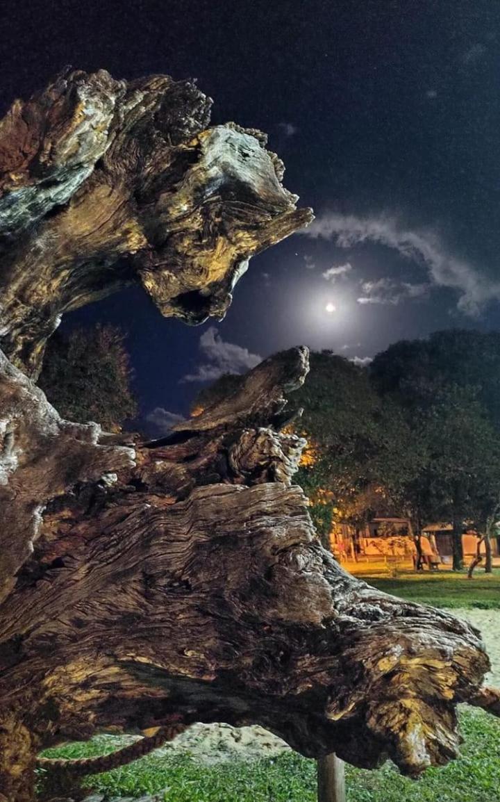Pousada Vila Morena Итаюнас Екстериор снимка